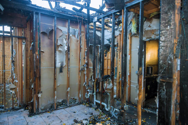 Professional Fire Damage Repair technician working in Afton, MN