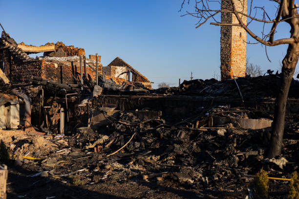 Reliable Fire Damage Repair contractor in Afton, MN by Fire Damage Doption